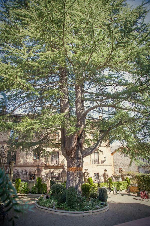 Palacio Azcarate Hotel Ezcaray Exterior photo
